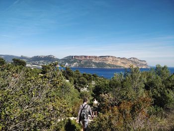 Scenic view of sea and trees against blue sky
