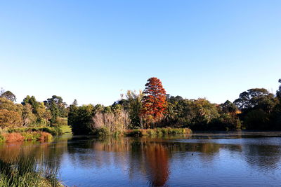 Scenic view of lake against clear blue sky