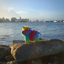 Man with horse in sea by cityscape against sky