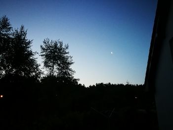 Trees against clear sky