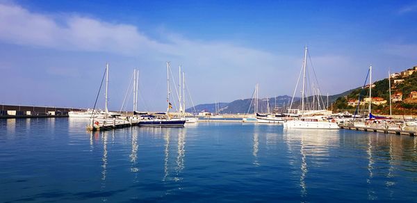 Sailboats in marina