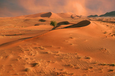 Sand dune in desert against sky