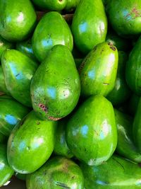Full frame shot of avocados