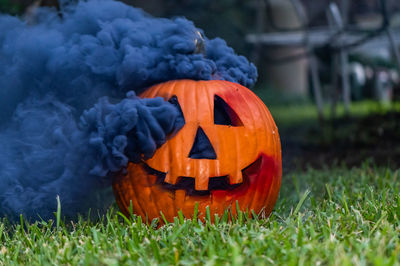Close-up of pumpkin on grass at yard