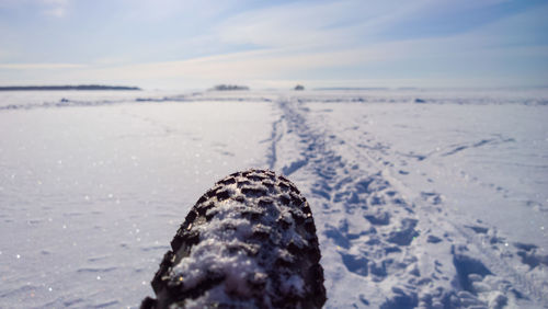 Close-up of turtle on beach against sky during winter