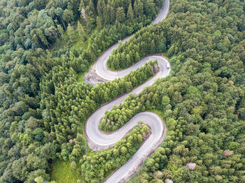 High angle view of road amidst trees