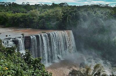 Scenic view of waterfall in forest