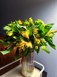 Close-up of potted plant