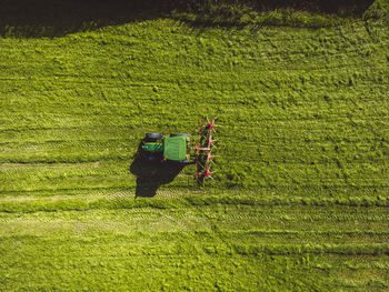 High angle view of man standing on grassy field