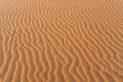 Full frame shot of sand dune