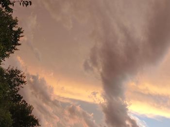 Low angle view of trees against cloudy sky