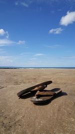 Crab on sand at beach against sky