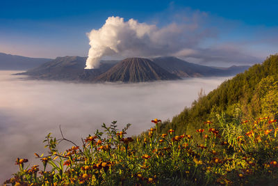 Scenic view of volcanic mountain against sky