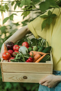 Cropped hand of woman holding potted plant