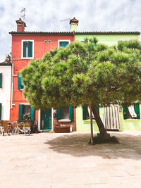 Trees and houses against sky