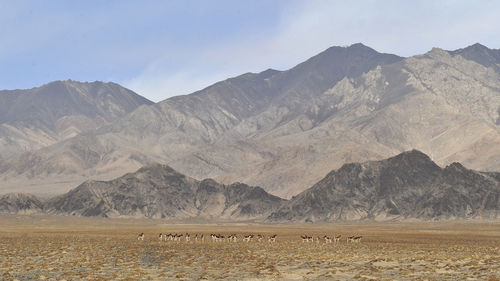 Scenic view of mountain against sky