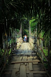 People walking on footpath