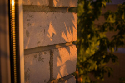 Close-up of text on wall