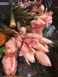 Close-up of pink roses