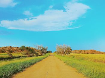 Scenic view of field against clear sky