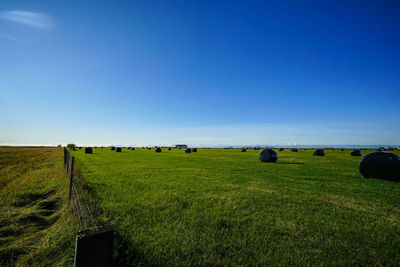 Hay bales on field against clear blue sky