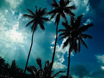 Low angle view of silhouette palm trees against sky