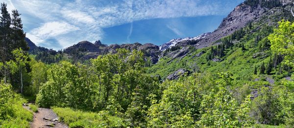 Lake blanche forest twin peaks wilderness, wasatch national forest in big cottonwood canyon utah. 