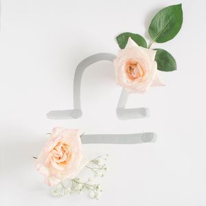 Close-up of rose bouquet against white background