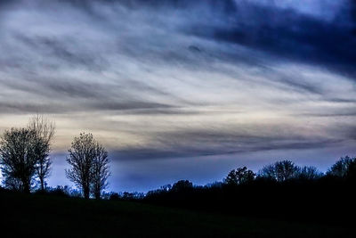 Silhouette trees on field against sky at sunset