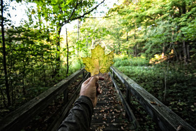 Close-up of person on railroad track amidst trees in forest