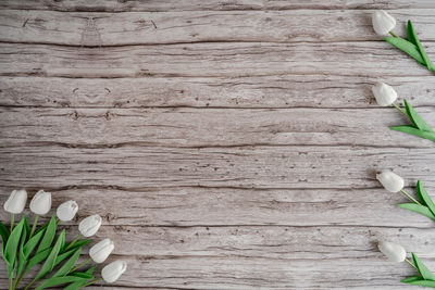 High angle view of leaves on table