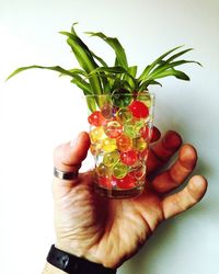 Close-up of hand holding strawberry over white background