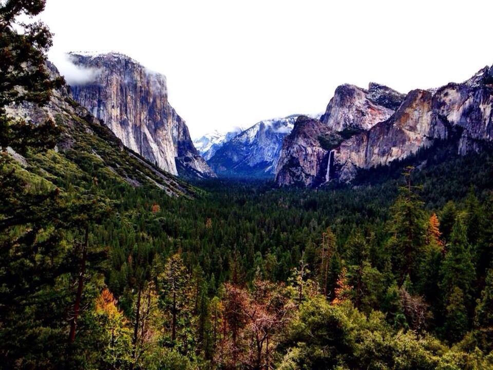 Yosemite National Park