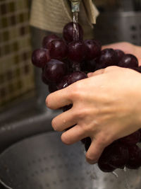 Close-up of woman holding fruit