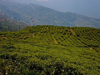 Scenic view of field against mountains