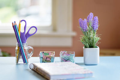 Houseplant with office supply on table