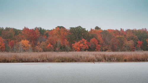 autumn