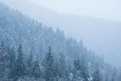 Scenic view of snow covered mountain