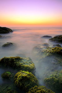 Scenic view of sea at sunset