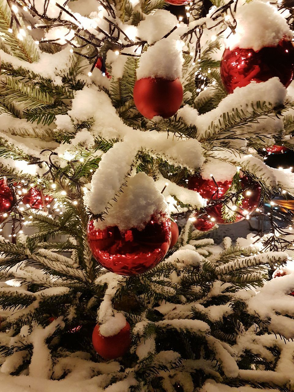 CLOSE-UP OF CHRISTMAS TREE HANGING ON BRANCH