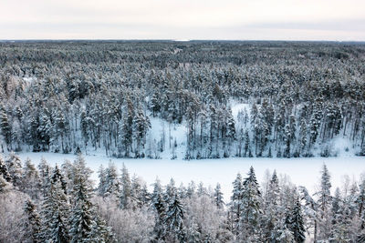 Frozen lake kaitalampi during winter from drone perspective, luukki espoo, vihti, finland