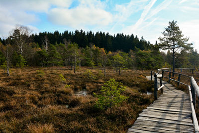 Scenic view of forest against sky