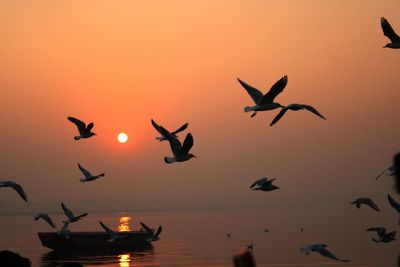 Silhouette of birds flying in sky during sunset