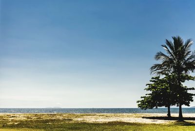 Scenic view of sea against clear blue sky