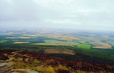 Scenic view of landscape