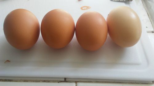 Close-up of eggs in row