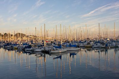 Sailboats in marina