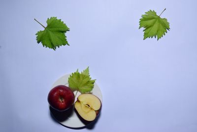 Fruits and leaves on table against white background