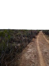 Dirt road amidst field against clear sky