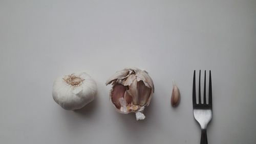 High angle view of food on table against white background